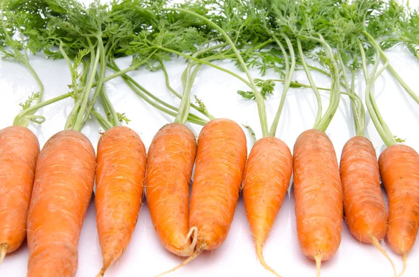 Fila de zanahorias frescas con hojas —  Fotos de Stock