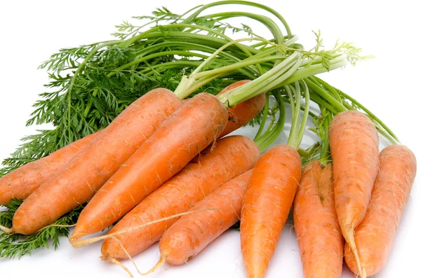 Bunch of fresh carrots with leaves — Stock Photo, Image