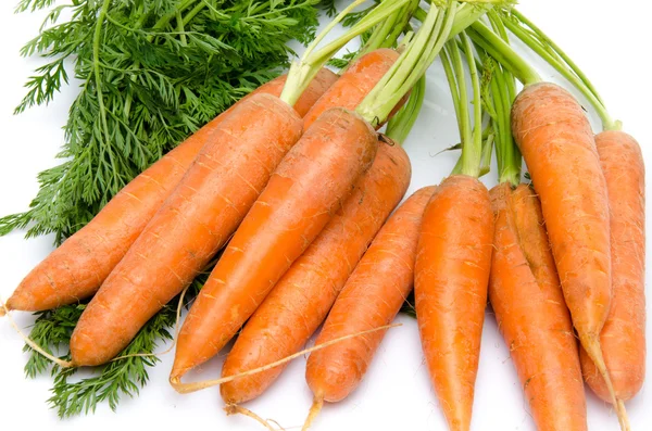 Ein Bund frischer Karotten mit Blättern — Stockfoto