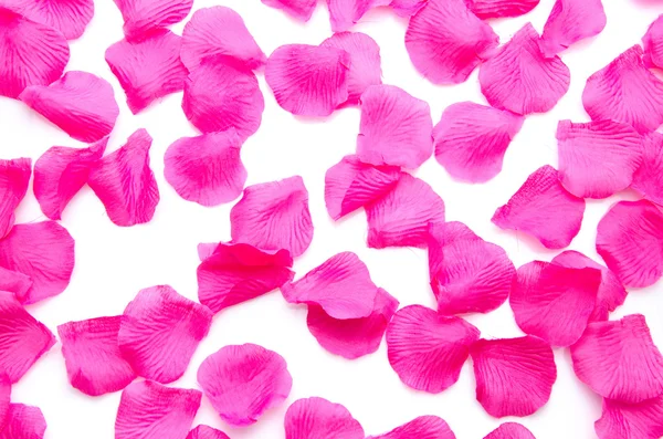 Background of pink petals — Stock Photo, Image
