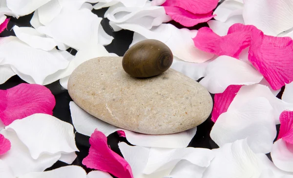 Pebbles surrounded by white and pink petals — Stock Photo, Image