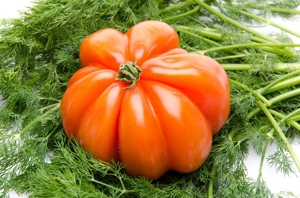 Beefsteak tomato on dill — Stock Photo, Image