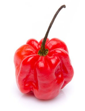 Red habanero pepper clipart