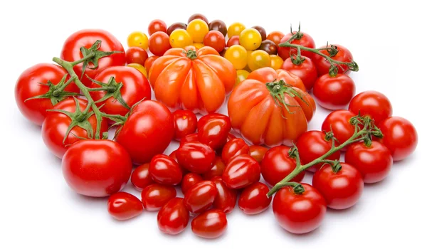 Verschiedene Tomatensorten — Stockfoto