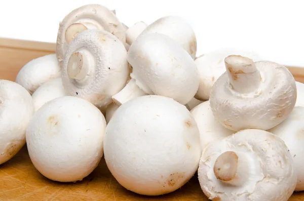 Cogumelos parisienses brancos — Fotografia de Stock