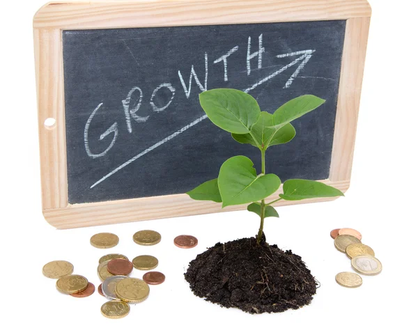 Růst koncept s zeleným malá rostlina — Stock fotografie