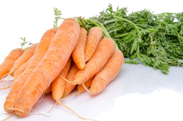 Bunch of fresh carrots — Stock Photo, Image