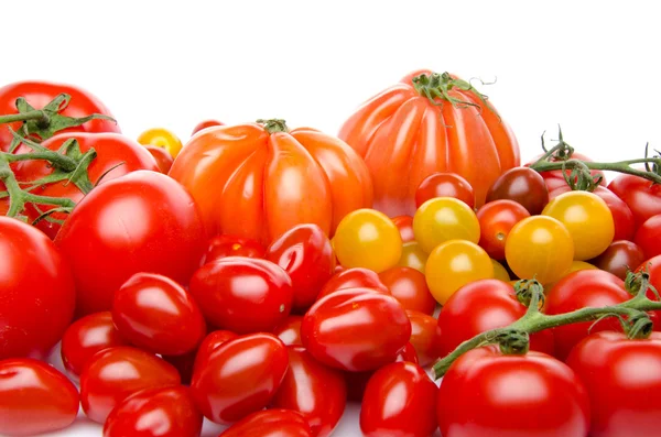 Different varieties of tomatoes — Stock Photo, Image