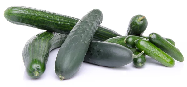 Fresh long and mini cucumbers — Stock Photo, Image
