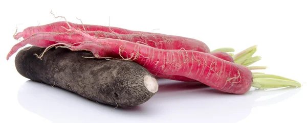 Composition with red and black fresh radish — Stock Photo, Image