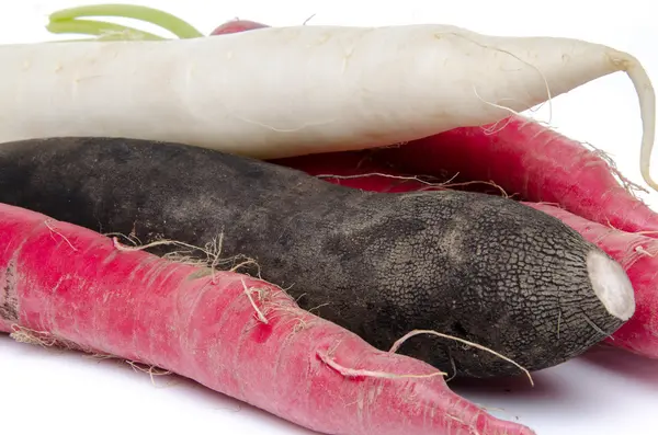 Red, black and white radish — Stock Photo, Image