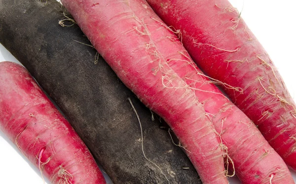 Red and black radish — Stock Photo, Image