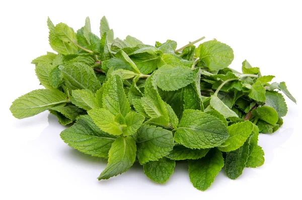 Bunch of fresh mint — Stock Photo, Image