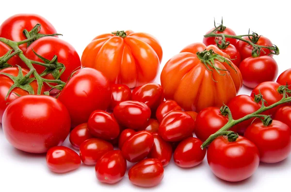 Verschiedene Tomatensorten — Stockfoto