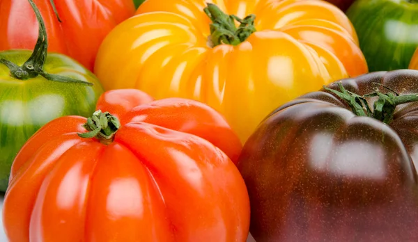 Tomates verdes, amarillos, anaranjados y morados — Foto de Stock