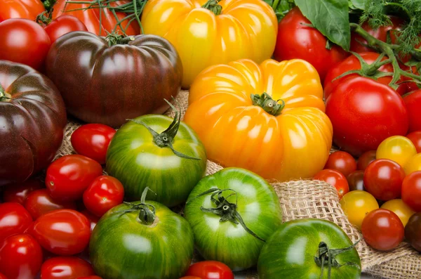 Composition of different varieties of tomatoes — Stock Photo, Image