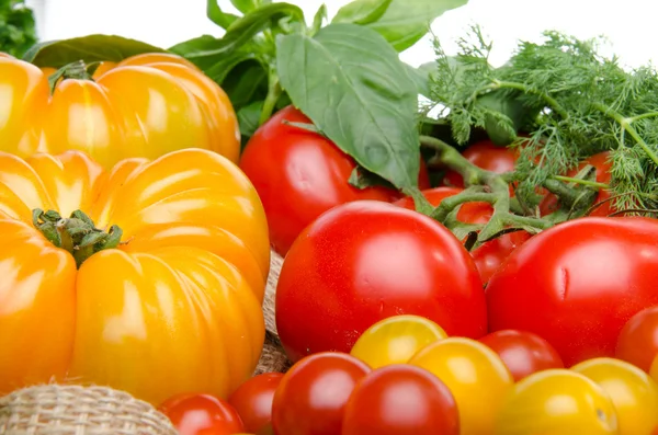 Composition of different varieties of tomatoes and herbs on a bu — Stock Photo, Image