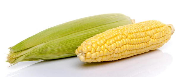 Fresh corn on the cob — Stock Photo, Image