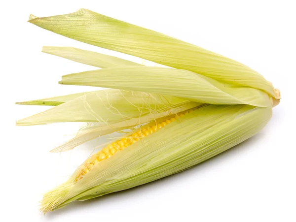 Fresh corn on the cob — Stock Photo, Image
