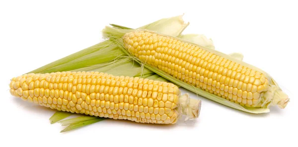 Fresh corn on the cob — Stock Photo, Image