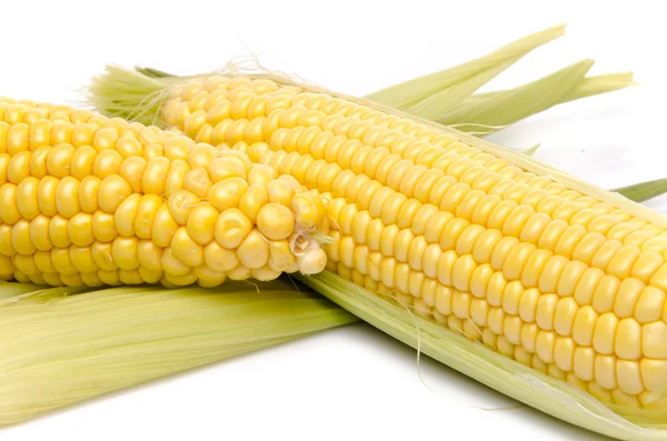 Fresh corn on the cob — Stock Photo, Image