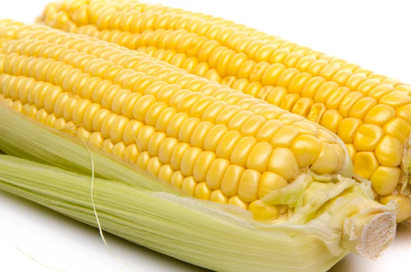 Fresh corn on the cob — Stock Photo, Image