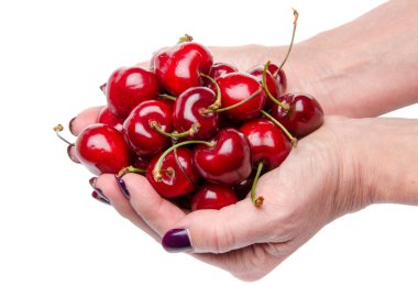 kadının taze kiraz dolu eller