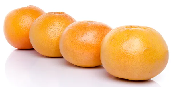 Line of grapefruits — Stock Photo, Image