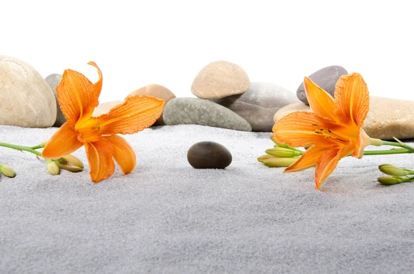 Pebble stones and orange lily flowers on gray sand — Stock Photo, Image