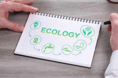 Hand holding a notepad with ecology concept
