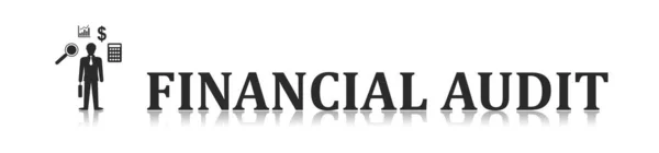 Illustration Financial Audit Concept — Stock Photo, Image