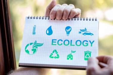 Not defterine el çizimi ekoloji kavramı