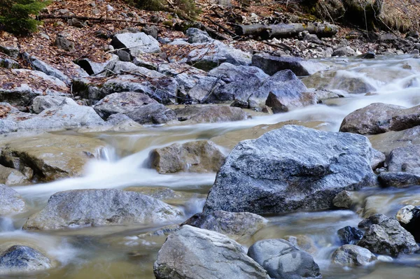 White water — Stock Photo, Image