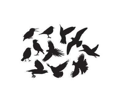 Kuş Silhouettes, sanat vektör tasarımı