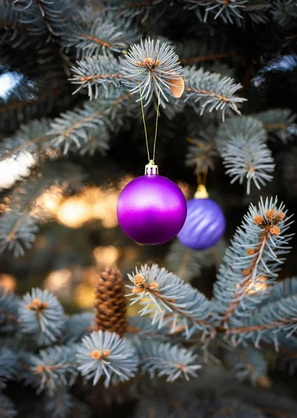 Ramo Árvore Natal Decorado Com Bolas Natal Foco Seletivo — Fotografia de Stock