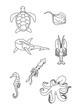 Hayvanlarla dolu sualtı dünyası. 