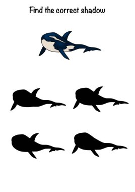 Hayvanlarla dolu sualtı dünyası. 