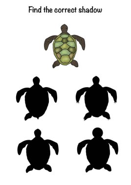 Hayvanlarla dolu sualtı dünyası. 