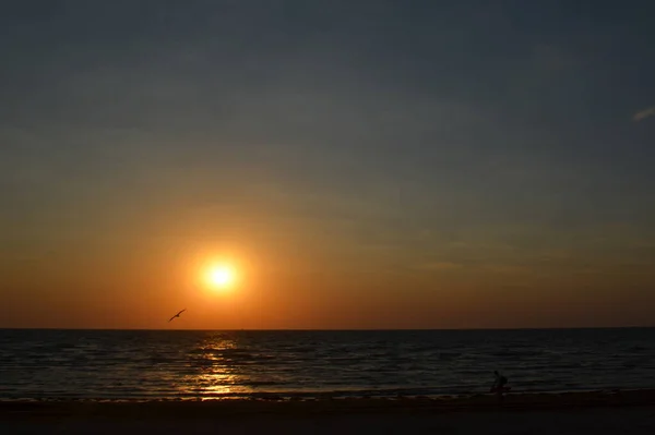 Observando Sol Naciente Junto Mar — Foto de Stock