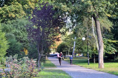 Mor ağaç ve yoldan geçenler şehir parkında.