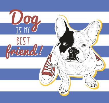 çizilmiş bulldog çizimi uzat