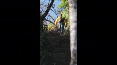 Sonbaharda tropikal bir ormanda yürüyüş yapan sarı ceketli genç bir kadın. Sağlıklı ve aktif bir Asyalı kadın gezgin ormanda bir sırt çantasıyla yürüyor..