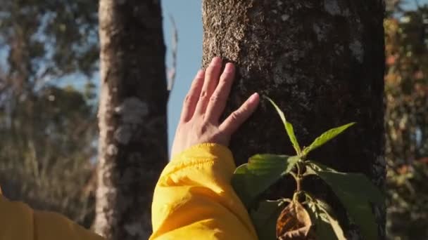 자켓을 가을에 숲에서 하이킹을 합니다 건강하고 활동적 아시아 여행자 가방을 — 비디오