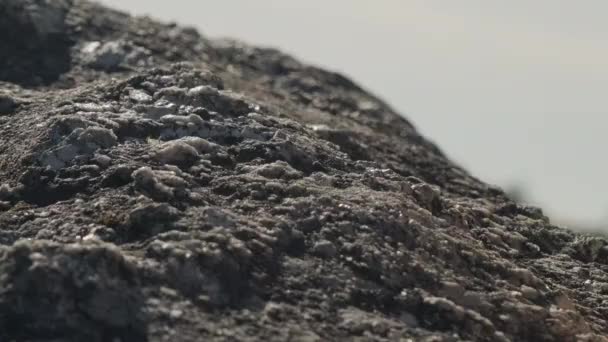 Una Turista Giacca Gialla Che Arrampica Montagna Durante Avventura Vacanza — Video Stock