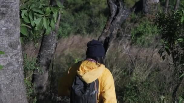 Jovem Mulher Casaco Amarelo Caminhando Uma Floresta Tropical Outono Uma — Vídeo de Stock