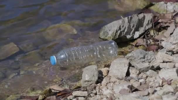 Plastic Waterfles Beek Het Bos Milieubeschermingsconcept — Stockvideo