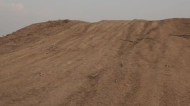 Akşam gün batımında köy yolunda koşan genç bir kadın. Toprak bir yolda koşan atletik ayakkabılar giyen bir sporcunun ayaklarına yakın plan..