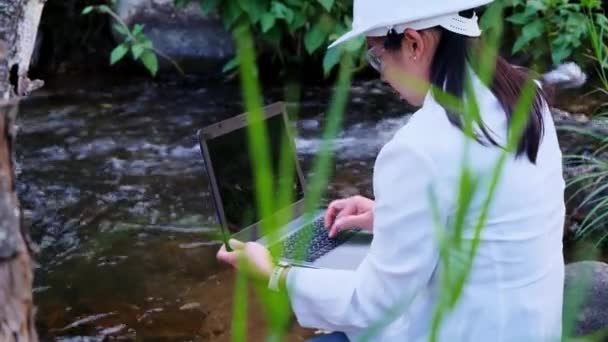 Inżynierowie Środowiskowi Sprawdzają Jakość Wody Naturalnych Źródłach Wody Rejestrują Dane — Wideo stockowe