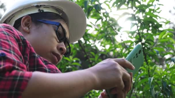 Μηχανικός Περιβάλλοντος Φοράει Κράνος Και Αναλύει Φυτά Smartphone Για Ένα — Αρχείο Βίντεο