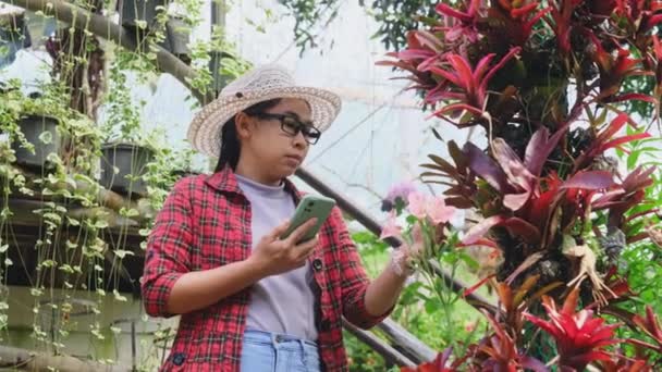 Porträt Einer Lächelnden Gärtnerin Die Mit Verschränkten Armen Über Blumenpflanzen — Stockvideo